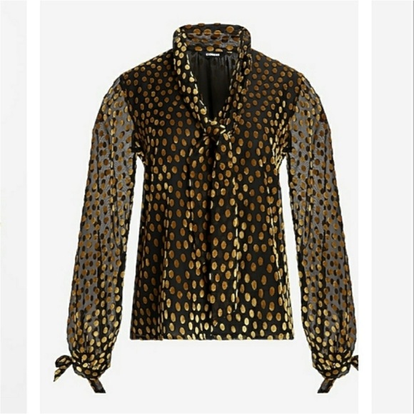 Express Long Sleeve Sheer Lined Gold Velvet Dot Blouse Size Small - Picture 3 of 11